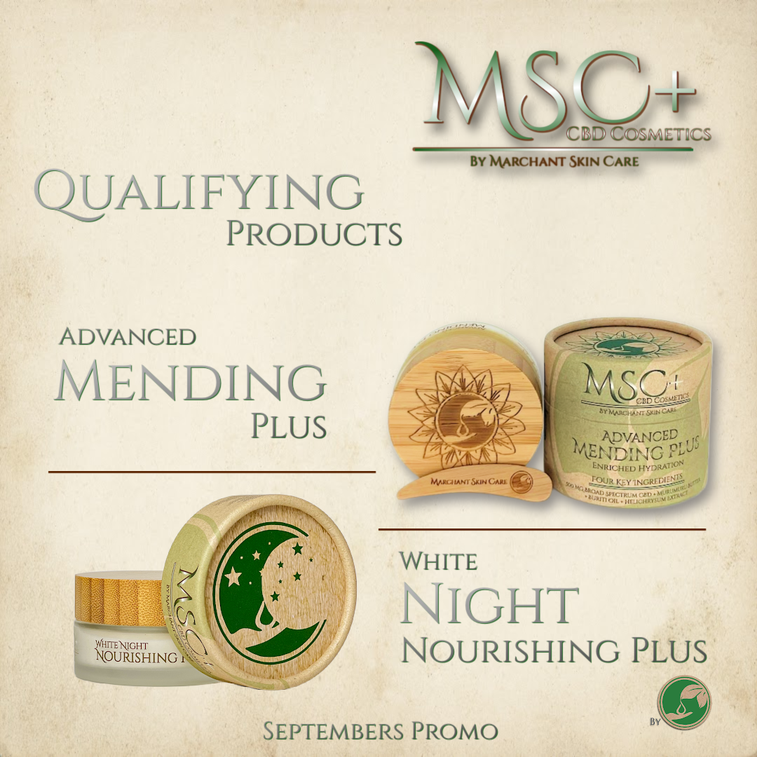September MSC+ Promo