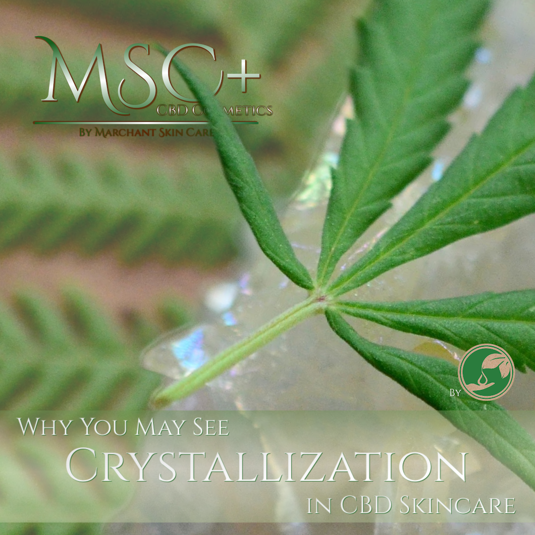Why You May See Crystallization in CBD Skincare