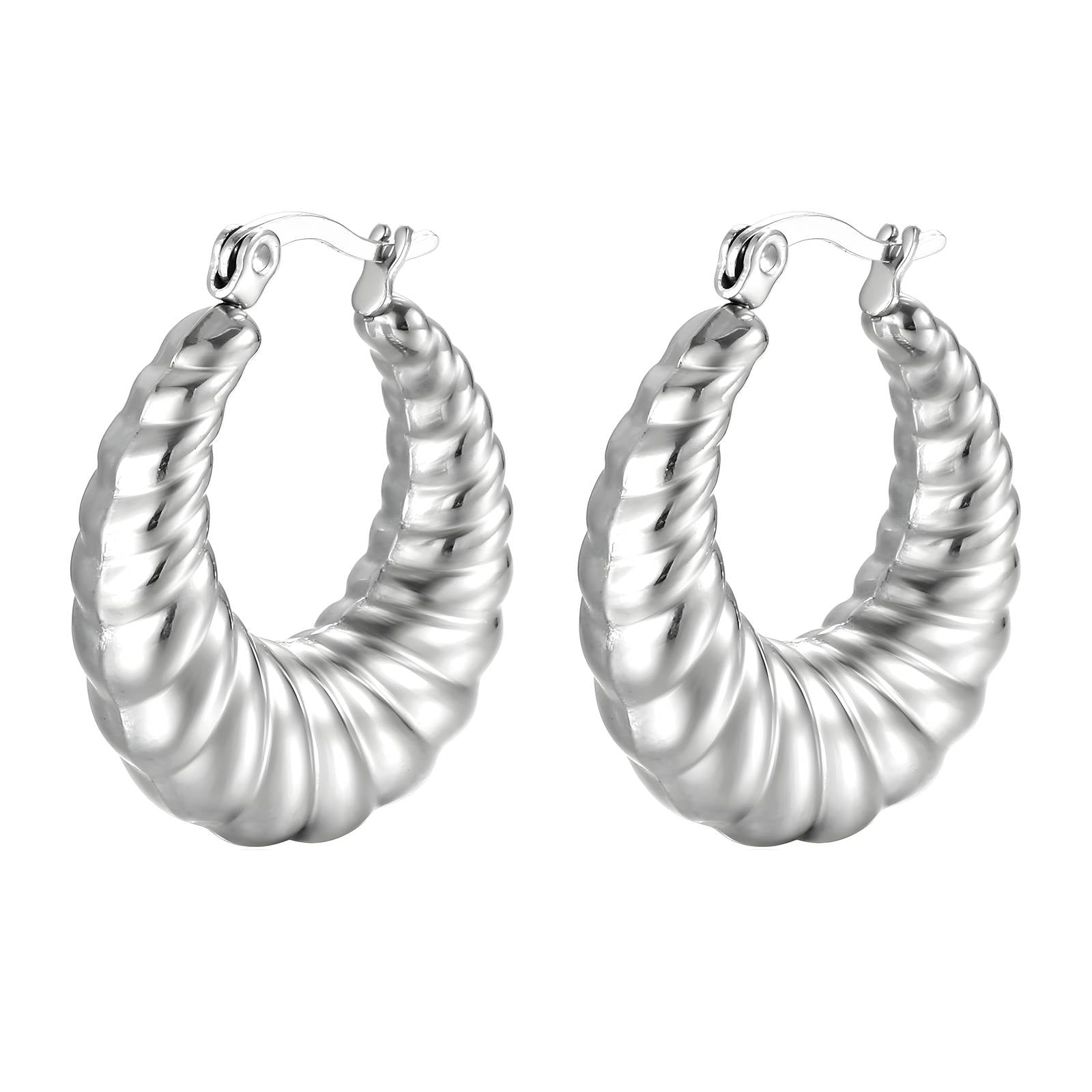 Stainless steel earrings